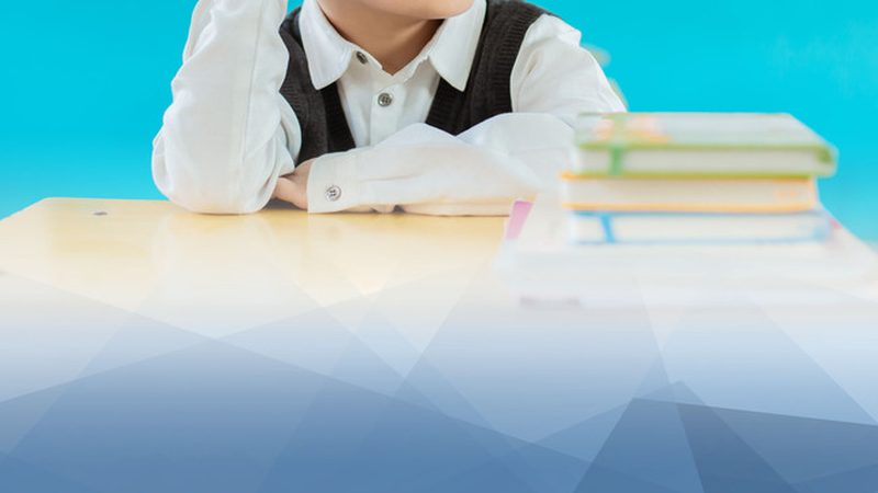 案例分析：以某机构课程体系为例